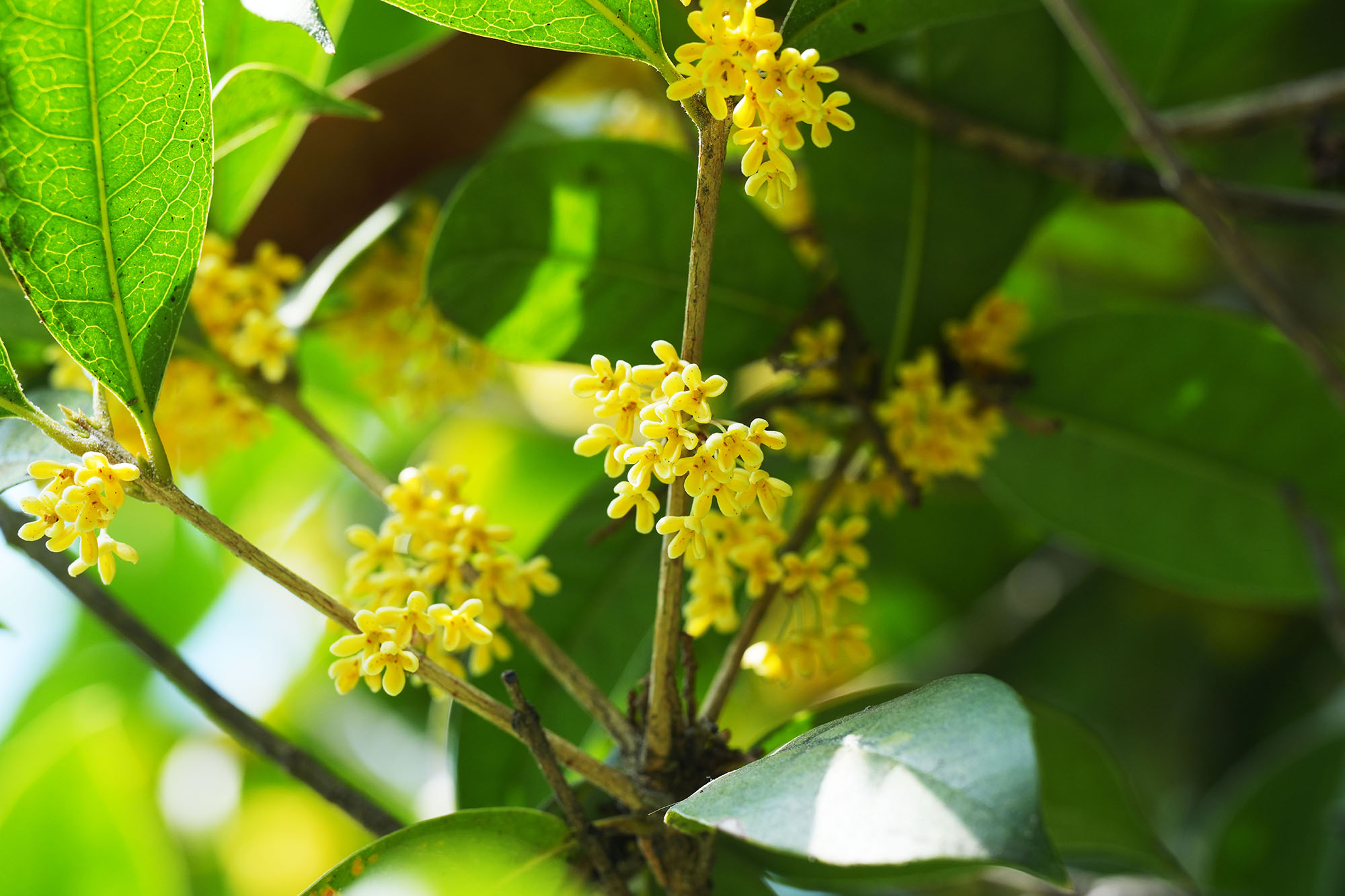 J9国际厅(中国)-官方网站