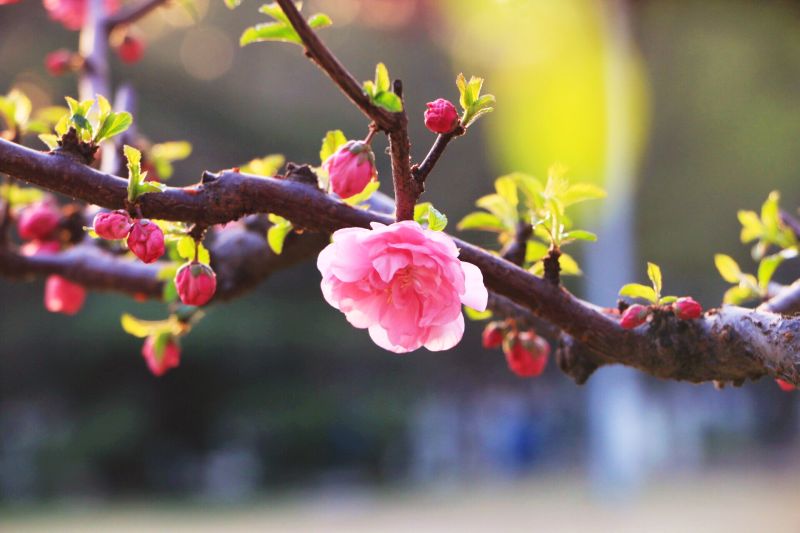 20160428143241450791